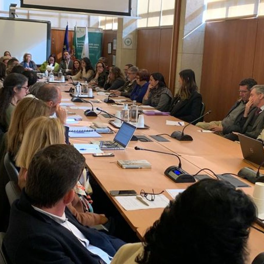 Reunião do Conselho Regional de Saúde Mental de Lisboa e Vale do Tejo